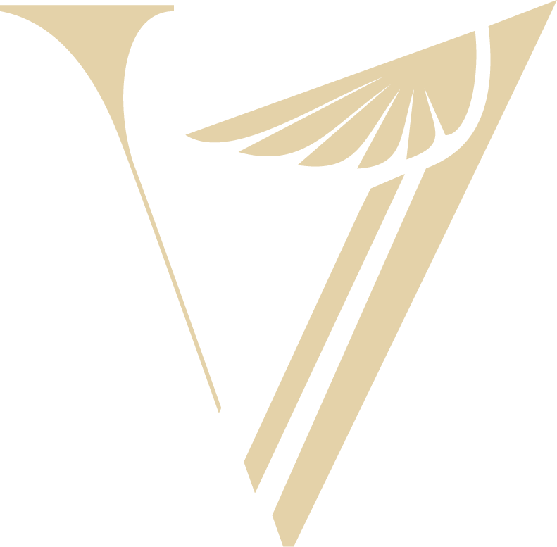 V1-training. Pass your airline pilot interview with confidence