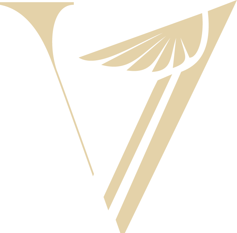 V1-training. Pass your airline pilot interview with confidence